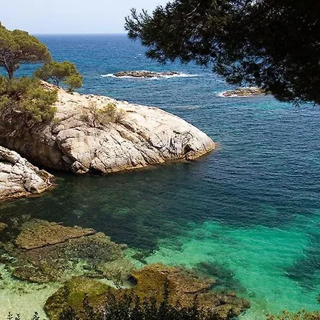 Carle Magne E-2 Apartamento Platja d'Aro